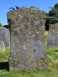 image number DSC_1119